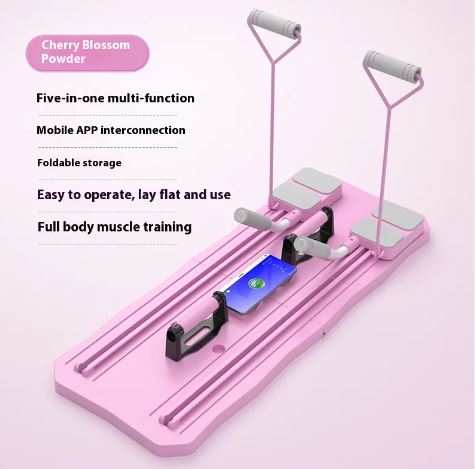 Multi-Functional Ab Roller & Plank Fitness Board